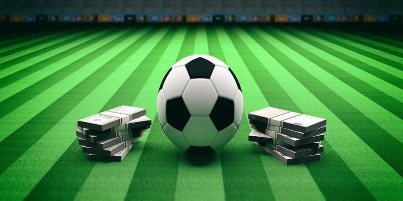 cách chọn nhà cái uy tín khi cá cược