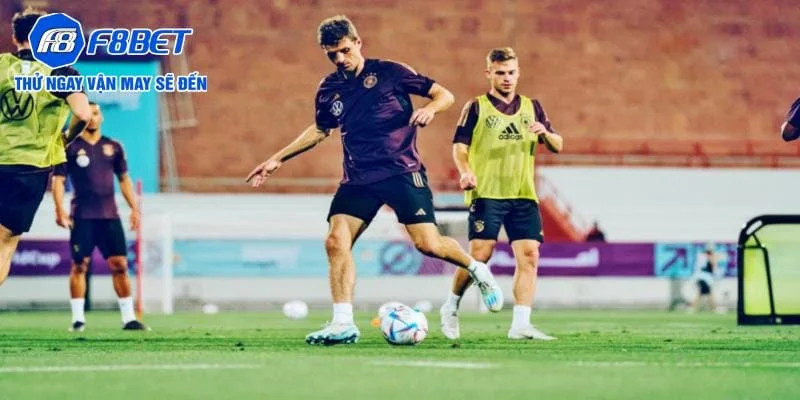 Một số loại kèo châu Á thường gặp tại các nhà cái lớn Một số loại kèo châu Á thường gặp tại các nhà cái lớn