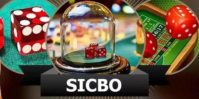 Luật chơi sicbo cược đôi thú vị Luật chơi sicbo cược đôi thú vị