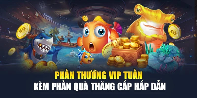 Phần thưởng VIP tuần kèm phần quà thăng cấp hấp dẫn Phần thưởng VIP tuần kèm phần quà thăng cấp hấp dẫn